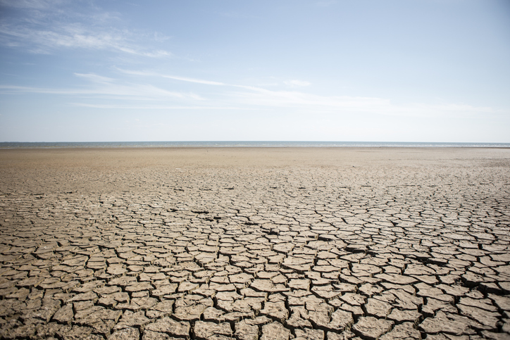 barren field