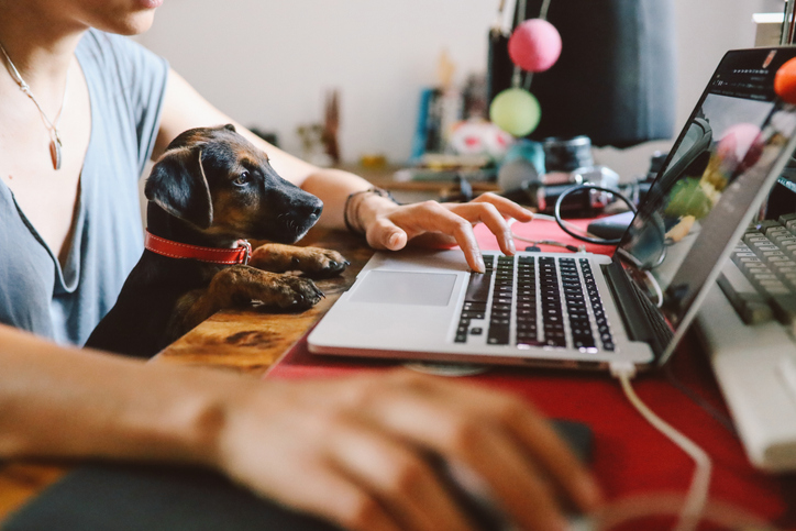 working from home with dog