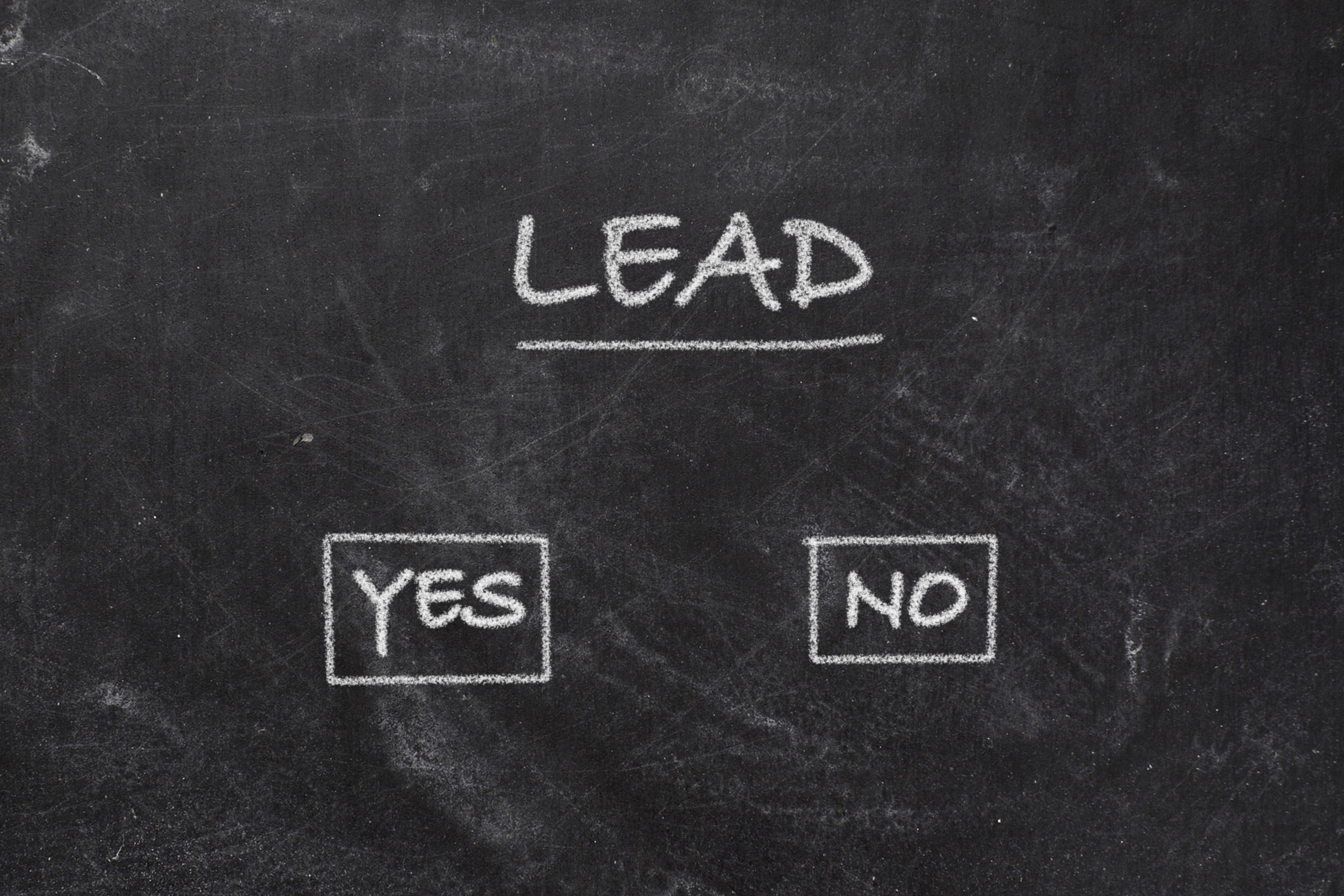 lead with yes or no checkboxes
