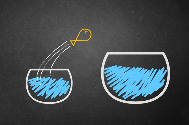 transformational leadership